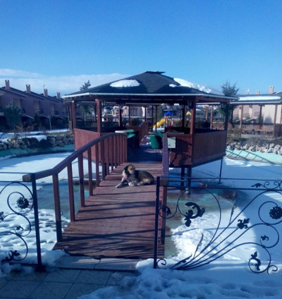 GAZLIGÖL DE 2+1 KAMPANYA